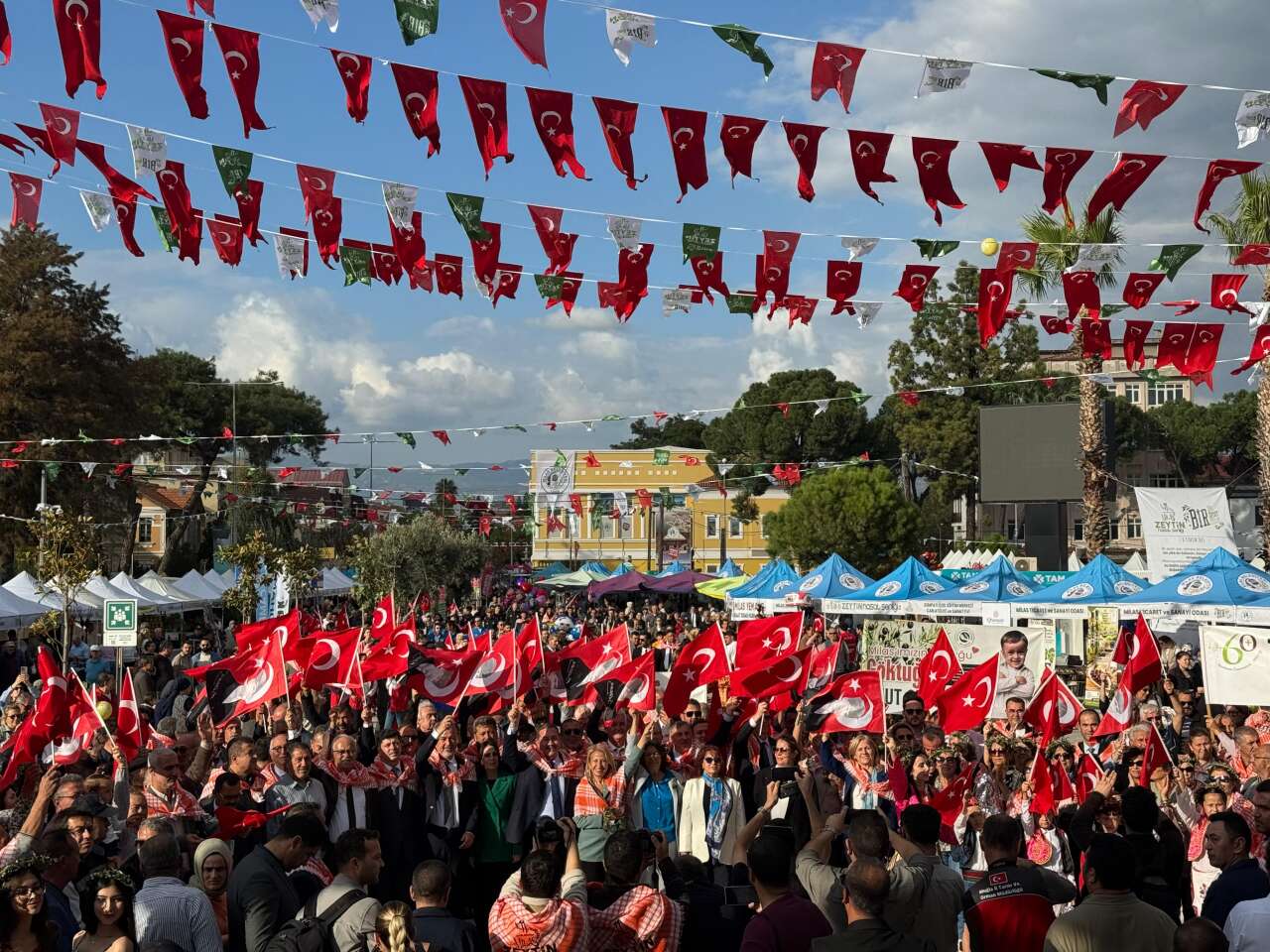 11. Milas Zeytin Hasat Şenliği Başladı 7